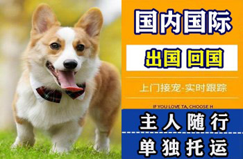 亳州市宠物托运公司亳州市宠物托运公司亳州市宠物托运公司