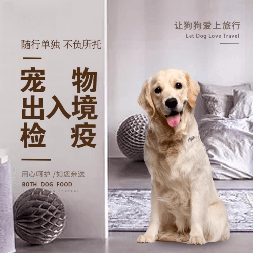 亳州市宠物托运到哥伦比亚猫狗宠物入境规定和