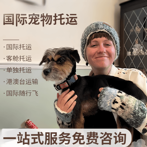 亳州市国际宠物托运到阿根廷宠物入境规定和要