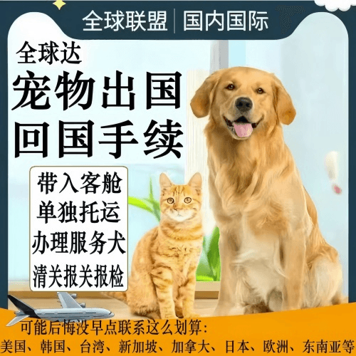 亳州市宠物托运到柬埔寨宠物入境规定和要求