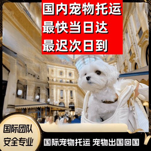 亳州市到澳大利亚（澳洲）宠物入境规定和要求